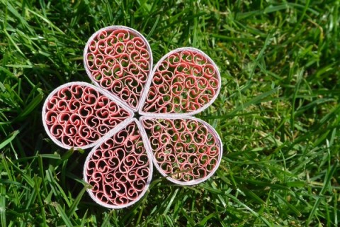 Kytička Miluška květina kytička quilling 