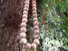 Melounové potěšení – kapsička