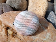 Melounové potěšení – kapsička