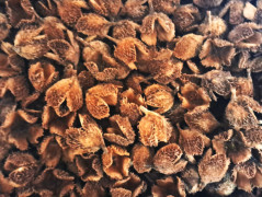 Na břehu Baltského moře