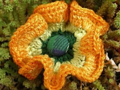 Long long XX. ........ náušnice