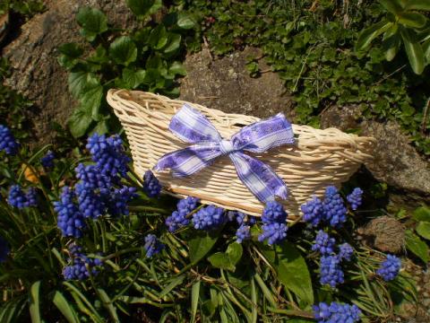 Ošatka oválná ošatka pedig fialová mašle 