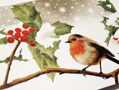 Darovací obálka - ČERVENÉ VÁNOCE