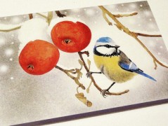 Darovací obálka - ČERVENÉ VÁNOCE