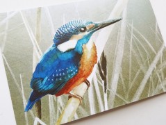 Darovací obálka - ČERVENÉ VÁNOCE