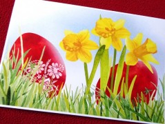 Darovací obálka - ČERVENÉ VÁNOCE