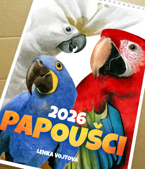 Kalendář - PAPOUŠCI 2026 barva barevné papoušek měsíční ptáci a4 kalendář závěsný nástěnné 2026 