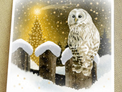 Darovací obálka - ČERVENÉ VÁNOCE