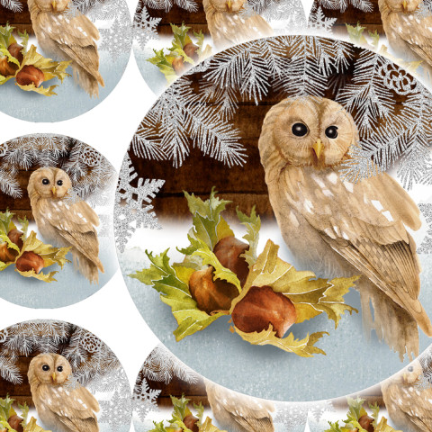 TŘI OŘÍŠKY - samolepky zábava sníh strom zima vánoce ptáček přání příroda vánoční sova sovička diář deník advent obálka červenka nálepka pohlednice samolepky samolepka oříšek puštík 