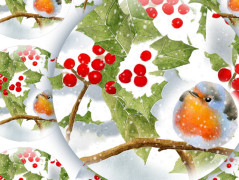 Darovací obálka - ČERVENÉ VÁNOCE