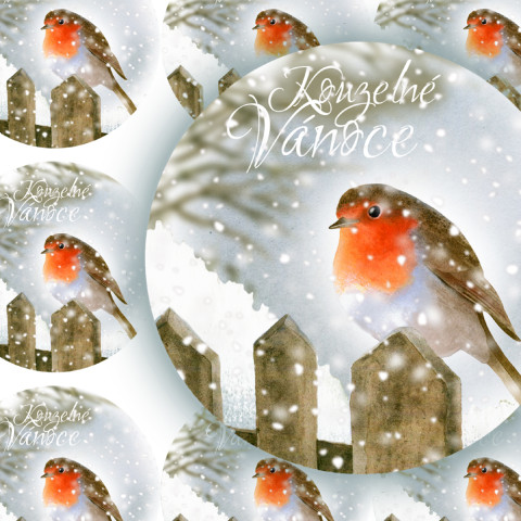 ČERVENKA NA PLOTĚ - samolepky zábava sníh strom zima vánoce ptáček přání příroda vánoční diář deník plot advent obálka červenka nálepka pohlednice samolepky samolepka 