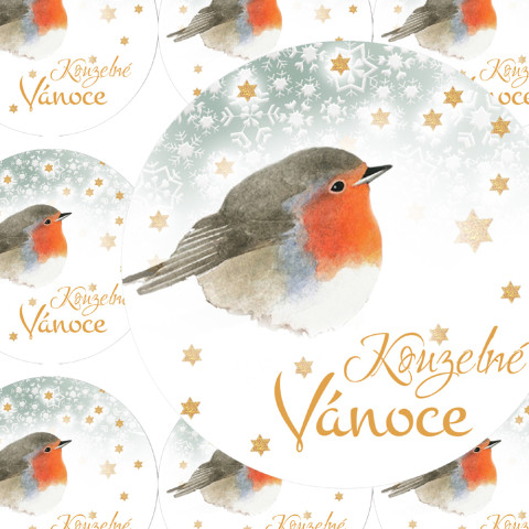 MALÁ ČERVENKA - samolepky zábava sníh zima vánoce ptáček přání příroda vánoční hvězda diář deník hvězdička advent obálka červenka nálepka pohlednice samolepky samolepka 