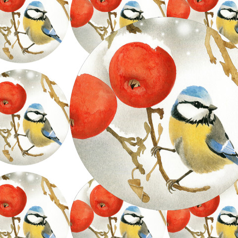 MODŘINKA - samolepky zábava sníh zima vánoce ptáček přání příroda vánoční diář rostlina deník advent sýkorka modřinka obálka nálepka pohlednice samolepky samolepka 