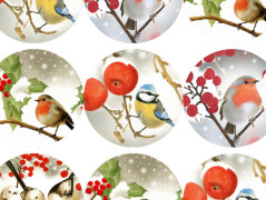 Darovací obálka - ČERVENÉ VÁNOCE