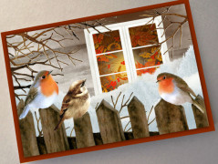 Darovací obálka - ČERVENÉ VÁNOCE