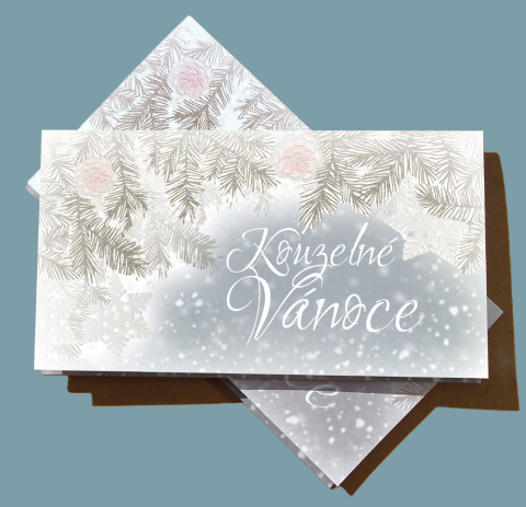 Darovací obálka - ZASNĚŽENÁ sníh modrá vánoce bílá přání vánoční peníze advent vločka voucher obálka větev šiška vstupenky 