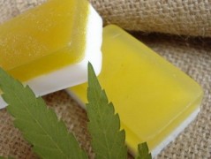 Rybka, rybka, rybička zelená