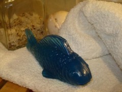 Rybka, rybka, rybička zelená