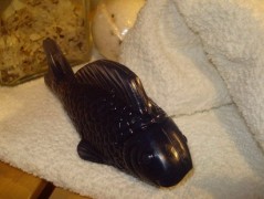 Rybka, rybka, rybička zelená