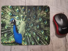 Hrnek se jménem, Klára