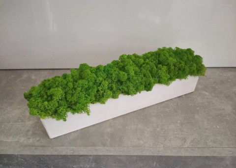 Dekorační blok se stab. mechem mechová dekorace blok truhlík so 