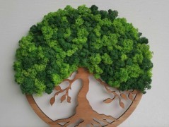 Mechový obraz, strom života, 30 cm