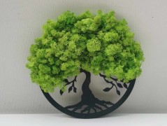 Mechový obraz, strom života, 30 cm