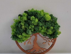 Mechový obraz, strom života, 30 cm