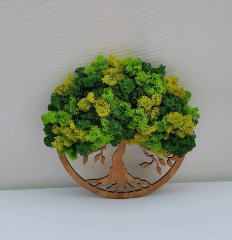 Mechový obraz, strom života, 20 cm strom strom života stabilizovaný mech mechová dekorace mechový strom dřevěný obraz kulatý obraz 