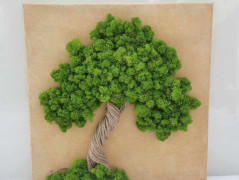 Mechový obraz, strom života, 30 cm