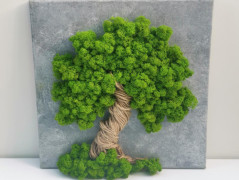 Mechový obraz, strom života, 30 cm