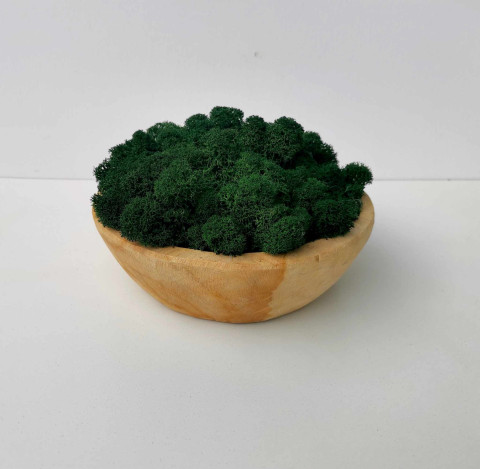 Miska plněná stabilizovaným mechem přírodní dekorace na stůl stabilizovaný mech mechová dekorace teaková miska 