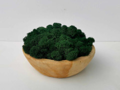 Mechový obraz, strom života, 30 cm