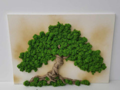 Mechový obraz, strom života, 30 cm