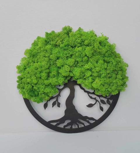 Mechový obraz, strom života, 30 cm mechová dekorace strom obraz dek 