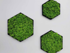 Mechový obraz, strom života, 30 cm