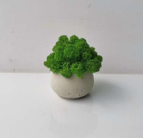 Betonový bucláček plněný mechem minimalismus bucláček beton sobí mech mechová dekorace 