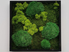 Mechový obraz, strom života, 30 cm