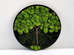 Mechový obraz, strom života, 30 cm