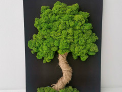 Mechový obraz, strom života, 30 cm