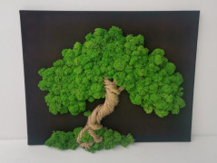 Mechový obraz, strom života, 30 cm