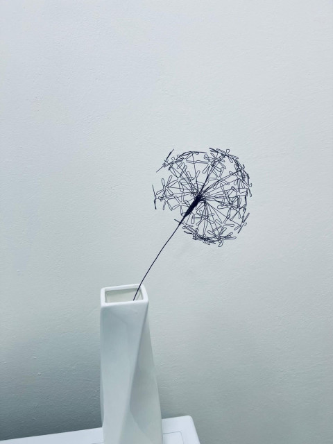 Drátkovaná odkvetlá Pampeliška 