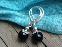 Čtyřlístkové náušnice - S.Steel