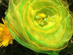 Čtyřlístkové náušnice - S.Steel