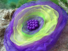 Čtyřlístkové náušnice - S.Steel