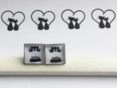 Čtyřlístkové náušnice - S.Steel