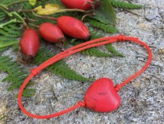 Čtyřlístkové náušnice - S.Steel