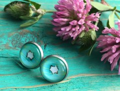 Čtyřlístkové náušnice - S.Steel