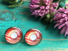 Čtyřlístkové náušnice - S.Steel