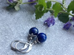 Čtyřlístkové náušnice - S.Steel